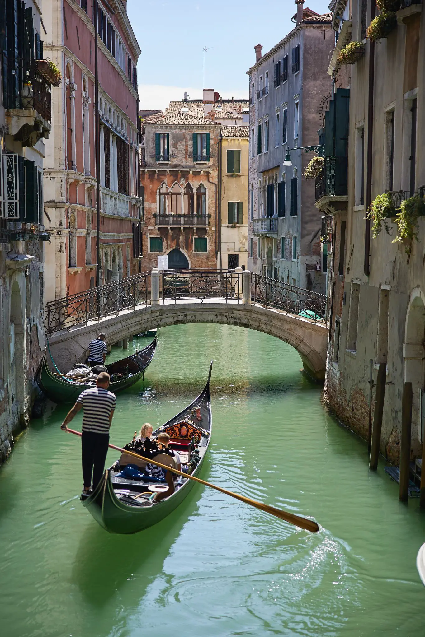 paolo-cicognani-wedding-in-venice-unforgettable-celebration